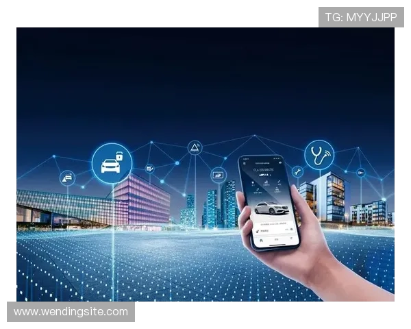 问鼎数字站：打造行业领先的数字内容生态系统